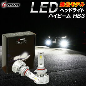 【予約商品】アルファード 10系 後期 LED ヘッドライト ハイビーム用 HB3 爆光 24000LM 車検対応 ホワイト 6,500K 1年保証 左右セット