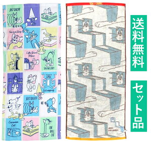 gƃWF[ tFCX^I 2ZbgiRۖhLH t@j[pXe EpCWK[h bcgj 