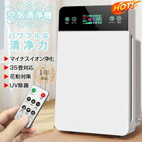 楽天市場】在庫処分セール（空気清浄機｜季節・空調家電）：家電の通販