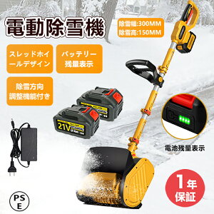 y2025Vi 1Nԕۏ؁zd@ ƒp @ Ⴉ XRbv ᕝ30cm  dXRbv Vx Ⴉ@ ^ Vx  y ֗ Ⴉp XRbv ΂ 