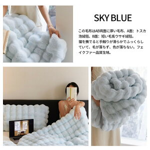 毛布 ふわとろ毛布 もこもこ毛布 とろとろ もこもこ毛布 ブランケット ふわふわ シングル セミダブル マイクロファイバー 軽い 夏用 掛け布団 カバー ダブル ひざ掛け 掛け毛布 あったか 厚