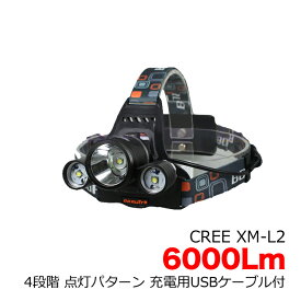 CREE XM-L2 ヘッドライト 6000ルーメン 充電用USBケーブル付+USB型 2本用充電器付き