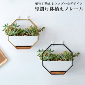 A Ǌ| X^ht k  v^[ ϗtAKp St[ t[|bg 픫