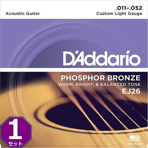 D'Addario EJ26 Custom Light 011-052 Phosphor Bronze __I ARM