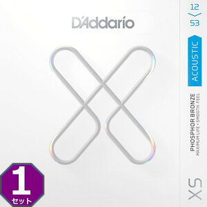 D'Addario XSAPB1253 Regular Light 012-053 Phosphor Bronze __I R[eBO ARM