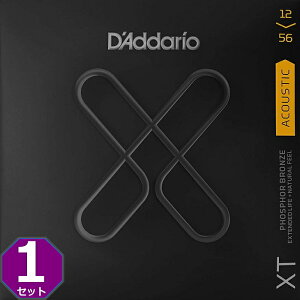 D'Addario XTAPB1256 LightTop/HeavyBottom 012-056 Phosphor Bronze __I R[eBO ARM