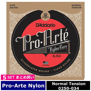 5�Z�b�g D'Addario EJ52 Pro Arte Nylon Alto Guitar Silver/Clear Normal �_�_���I �N���V�b�N��