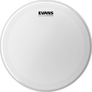 EVANS Genera Coated Drumhead 1-ply �G���@���X �h�����w�b�h 13"/14"