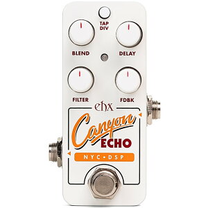 Electro-Harmonix PICO CANYON ECHO �G���N�g���n�[���j�N�X �f�B���C�����[�p�[