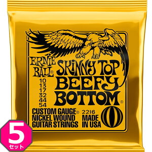 5Zbg ERNIE BALL #2216 Skinny Top Beefy Bottom 010-054 A[j[{[ GLM^[