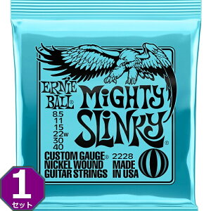 ERNIE BALL #2228 Mighty Slinky 008.5-040 A[j[{[ GLM^[