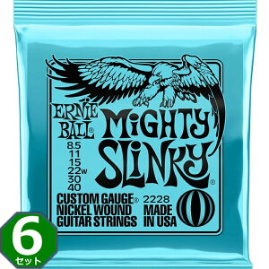 6Zbg ERNIE BALL #2228 Mighty Slinky 008.5-040 A[j[{[ GLM^[