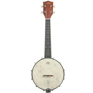 KALA Natural Mahogany Banjo Concert Ukulele KA-BNJ-MHG-C J oW[ RT[gEN
