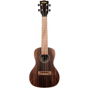 KALA Striped Ebony Concert Ukulele KA-EBY-C J RT[gEN