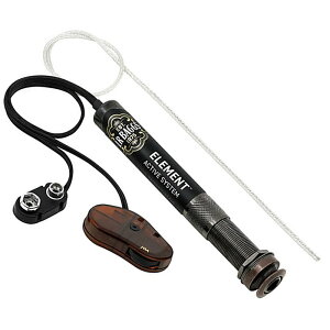 L.R.Baggs Element Active System �A�R�[�X�e�B�b�N�p�s�b�N�A�b�v