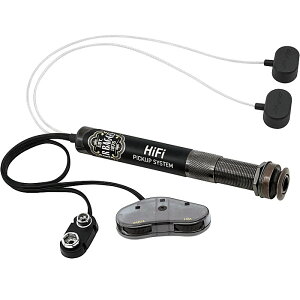 L.R.Baggs HiFi �A�R�[�X�e�B�b�N�p�s�b�N�A�b�v