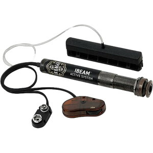L.R.Baggs iBeam Active �A�R�[�X�e�B�b�N�p�s�b�N�A�b�v