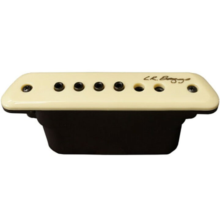 楽天市場】L.R.Baggs M1 Passive アコースティック用パッシブ 