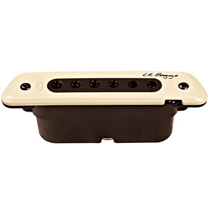 L.R.Baggs M80 �A�R�[�X�e�B�b�N�p�s�b�N�A�b�v