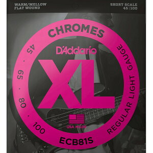 D'Addario ECB81S Flat Wound 045-100 Short Scale __I tbgEh x[X