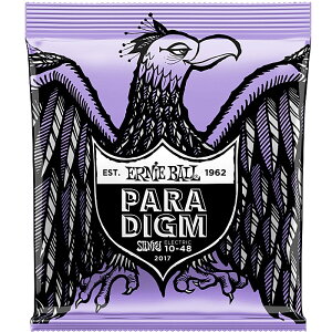 ERNIE BALL #2017 Paradigm Ultra Slinky 010-048 A[j[{[ p_C GLM^[