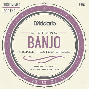 D'Addario EJ57 5-string Banjo Custom Medium 011-022 �_�_���I �o���W���[��