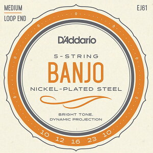 D'Addario EJ61 5-string Banjo Medium 010-023 �_�_���I �o���W���[��