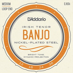 D'Addario EJ63i Irish Tenor Banjo Medium 012-036 �_�_���I �o���W���[��