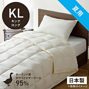 эH[ |HѕzcuтӂƂv PM510-B2 [LOO(230×230cm) /ėp /|[hYzCg}U[O[X_E95 ] PM510B2_KL_NA yLZsz