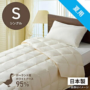 эH[ |HѕzcuтӂƂv PR310-B2 [VO(150×210cm) /ėp /|[hYzCgO[X_E95 ] PR310B2_S_NA yLZsz