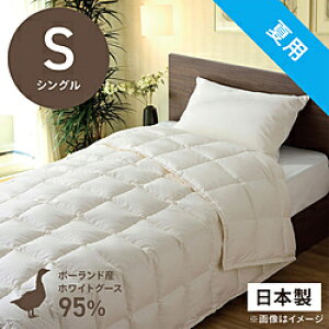 эH[ |HѕzcuтӂƂv PR410-B2 [VO(150×210cm) /ėp /|[hYzCgO[X_E95 ] PR410B2_S_NA yLZsz