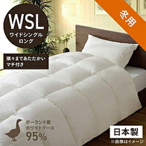 эH[ {|HѕzcuтӂƂv PR410M [ChVO(Z~_u)O(170×230cm) /~p /|[hYzCgO[X_E95 ] PR410M_WSL_NA yLZsz