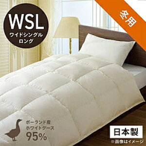 эH[ {|HѕzcuтӂƂv PR310 [ChVO(Z~_u)O(170×230cm) /~p /|[hYzCgO[X_E95 ] PR310_WSL_NA yLZsz