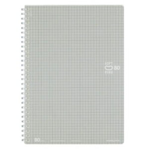 RN [m[g] \tgOm[g (B5ErE80)XSV308S5C 