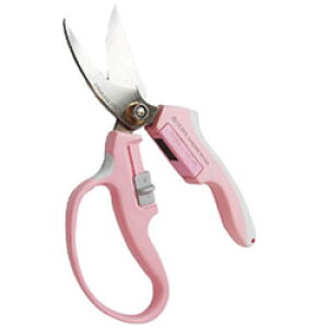 TV I} }Olbg ^isNj MG1P