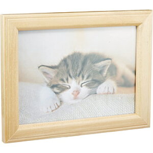 xmtC(FUJIFILM) ؐtHgX^h ʐ^ iLEKGE2Lp/ؒnj MT-KII MTK2