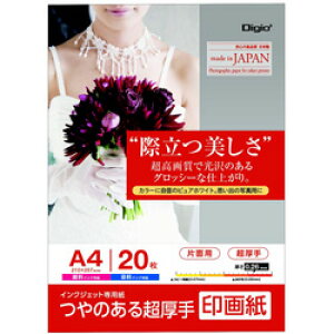 Nakabayashi �C���N�W�F�b�g�p ��掆 ������ A4 20�� JPSK2A420 [A4 /20���`] JPSK2A420