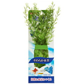 楽天市場 マツモ 水草 レイアウト 犬用品 ペット ペットグッズ の通販