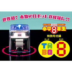 楽天市場 小学8年生の通販