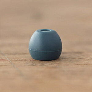 final C[s[X SS 3yA BlueGray FI-EPEBGSS4 FIEPEBGSS4 y864z