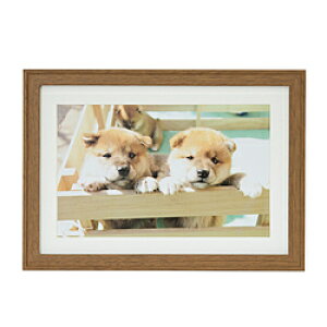 �t�W�J���[ �ؐ��z��_YM-9_���C�h6��_�u���E�� �u���E��