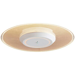 ACXI[} ^V[OCg  1500lm lt dF SCL-150LMS-LGP mdF /LEDn SCL150LMSLGP [Us]