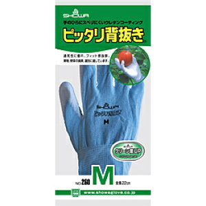 V[O[u No260sb^w MTCY u[ NO260MB NO260MB