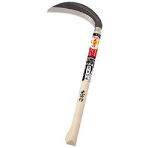 L RN}bNX|Аn HTS5081