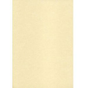 �X�{���� ME-313 NEW���̎q ���� 105g/m2 A4(15) 0.22mm ME313