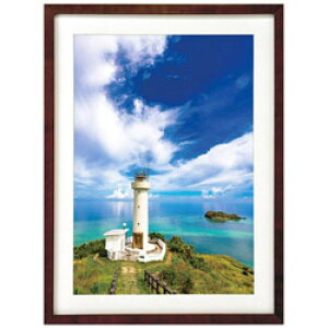 ハクバ 木製額縁 (A3サイズ/ブラウン) FWMM01-BRA3 FWMM01BRA3