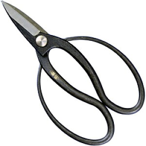 ߊn  v