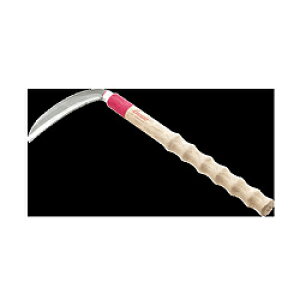 JlR Lacuno X[p[Xe蔖 Lacuno 750001