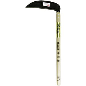 }g勴؍H  |t  [B^ 5 (450mmj 51321