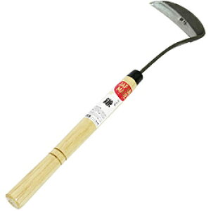 RꏤX łJbg |t  260mm